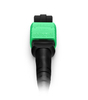 12F MTP MPO OS2 Backbone Patch Cord Female